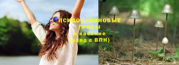 мдпв Болхов
