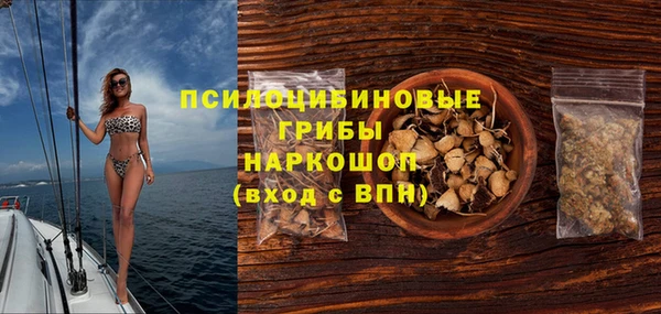 тгк Новодвинск