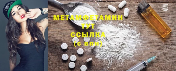 ПСИЛОЦИБИНОВЫЕ ГРИБЫ Новозыбков