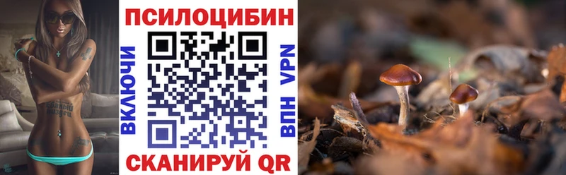 Псилоцибиновые грибы Cubensis Любань